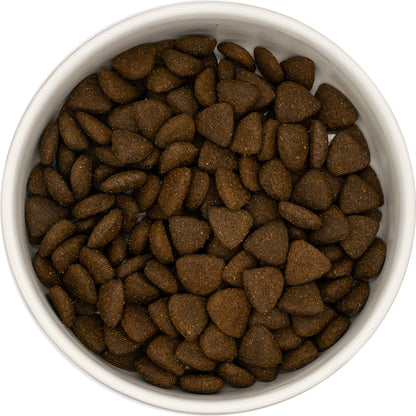 Superfood Adult Blend - Chicken