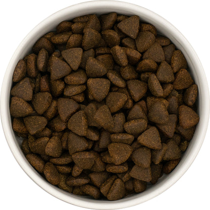 Superfood Adult Blend - Scottish Salmon