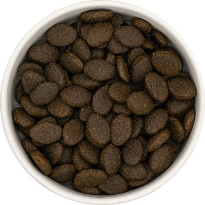 Super Premium Puppy (Large Breed) Blend - Salmon