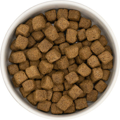 Super Premium Adult Blend - Chicken