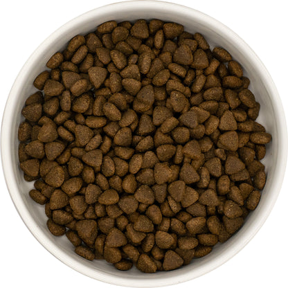 Superfood Puppy Blend - Turkey