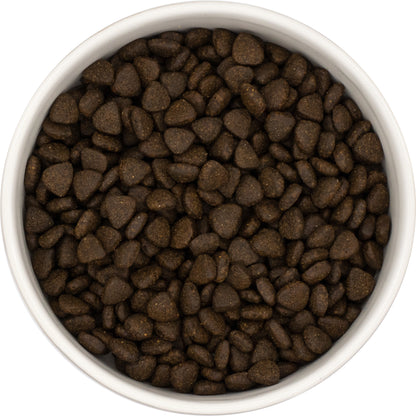 Superfood Puppy Blend - Salmon