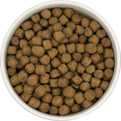 Super Premium Adult (Senior) Blend - Fish
