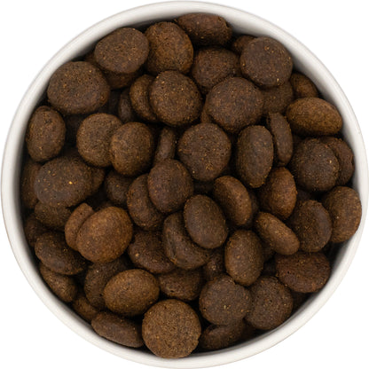 Grain Free Adult (Large Breed) Blend - Salmon