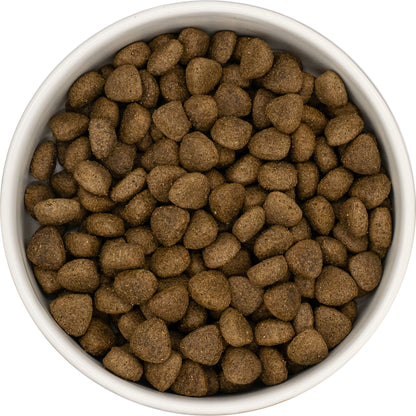 Super Premium Adult Blend - Lamb