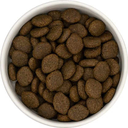 Super Premium Adult Blend - Salmon