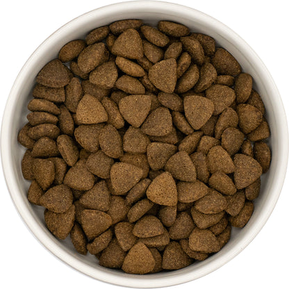 Superfood Adult Blend - Angus Beef