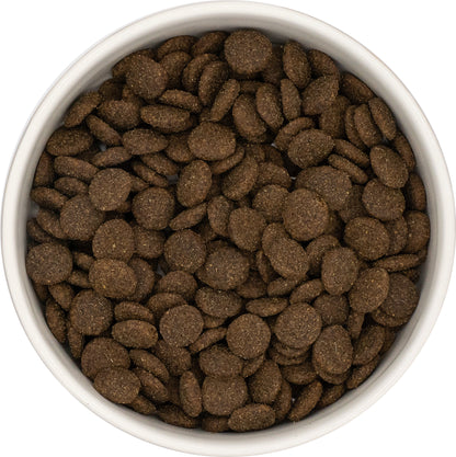 Grain Free Adult Blend - Lamb